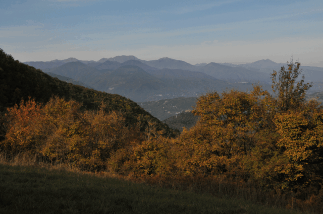 castagnata-9